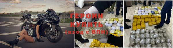 ГАЛЛЮЦИНОГЕННЫЕ ГРИБЫ Бородино