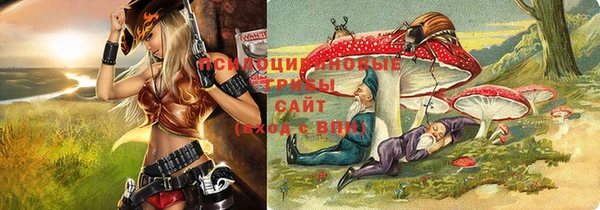 ГАЛЛЮЦИНОГЕННЫЕ ГРИБЫ Бородино