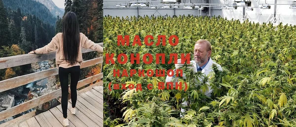 ГАЛЛЮЦИНОГЕННЫЕ ГРИБЫ Бородино