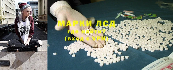 ГАЛЛЮЦИНОГЕННЫЕ ГРИБЫ Бородино
