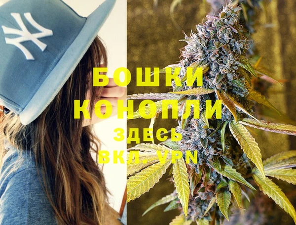 ГАЛЛЮЦИНОГЕННЫЕ ГРИБЫ Бородино