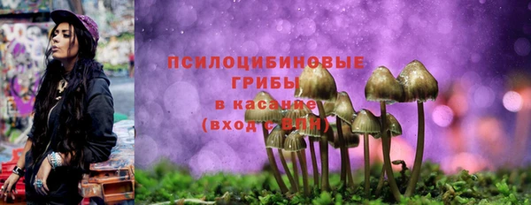 амф Бугульма