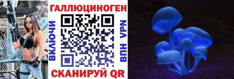 Псилоцибиновые грибы MAGIC MUSHROOMS  купить наркоту  Ковдор 